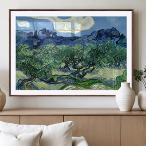 Olive Trees Van Gogh Wall Art Canvas Print