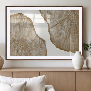 Rustic Brown Tree Ring Wall Art Canvas Print – Framed and