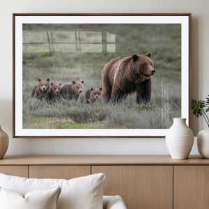 Wildlife Photography of 399 Grizzly Bear Cubs | Queen of the