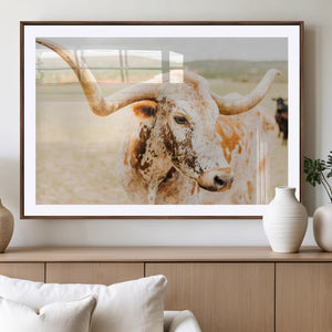 Texas Longhorn Wall Art Canvas Print – Framed Spotted Cow