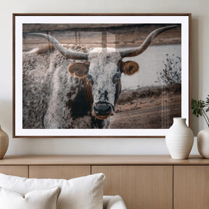 Texas Longhorn Wall Art Canvas Print – Framed Spotted Bull