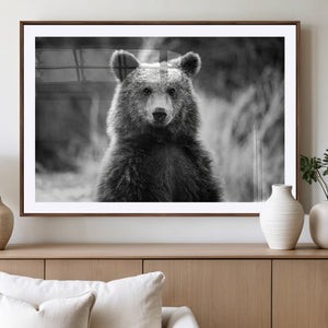 Grizzly Bear Wall Art Canvas Print – Framed Black White