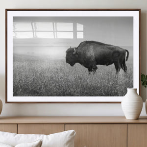 Bison Wall Art Canvas Print – Framed Rustic Wildlife Scene