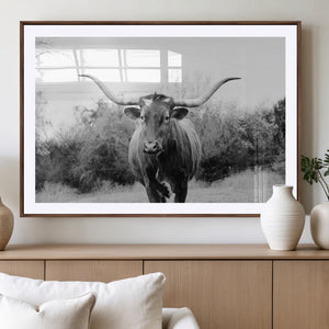 Longhorn Photography Wall Art Canvas Print – Framed Western