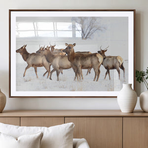 Winter Elk Scene Wall Art Canvas Print – Framed Wildlife