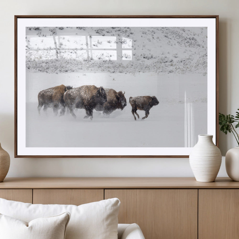 Bison Herd Decor Wall Art Canvas Print – Framed Snowy Bison