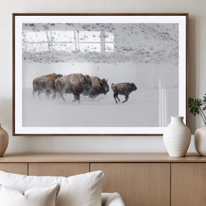 Bison Herd Decor Wall Art Canvas Print – Framed Snowy Bison