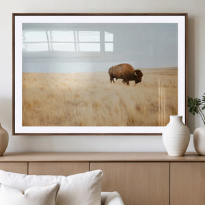 Buffalo Wall Art Canvas Print – Framed Western Wildlife