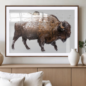 Snowy Buffalo Wall Art Canvas Print – Framed Wildlife