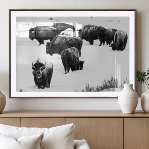 Buffalo Herd Wall Art Canvas Print – Framed Black and White
