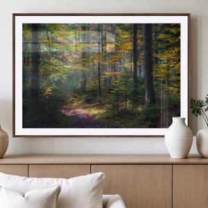 Autumn Forest Wall Art Canvas Print – Framed Fall Woodland