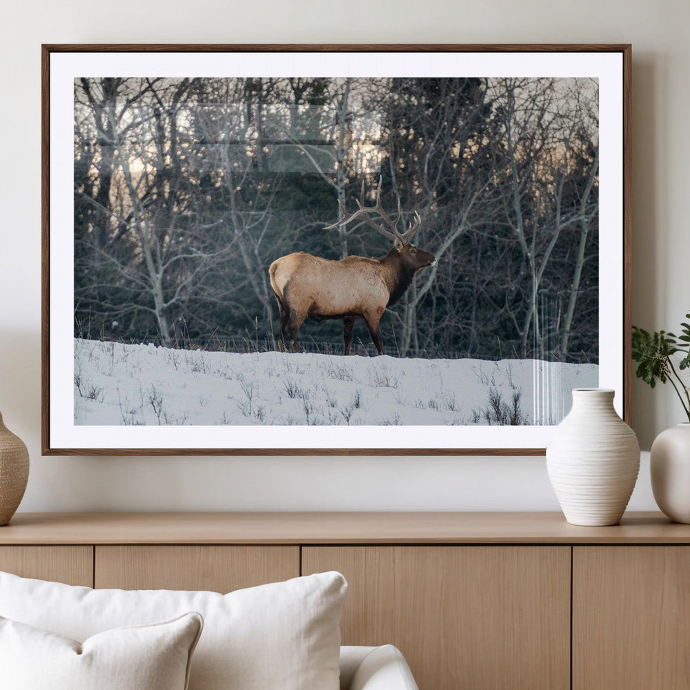 Wild Elk Wall Art Canvas Print – Framed Winter Wildlife
