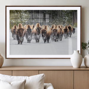 American Bison Herd Wall Art Canvas Print – Powerful Winter