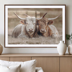 Couple Highland Cows Wall Art Canvas Print – Peaceful Meadow