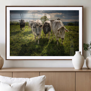 Grazing Cattle Herd Wall Art Canvas Print, Majestic Farm