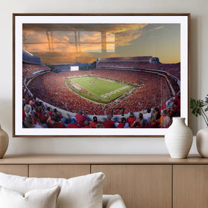 Dooley Stadium Wall Art, Sports Arena Canvas Print, Dooley