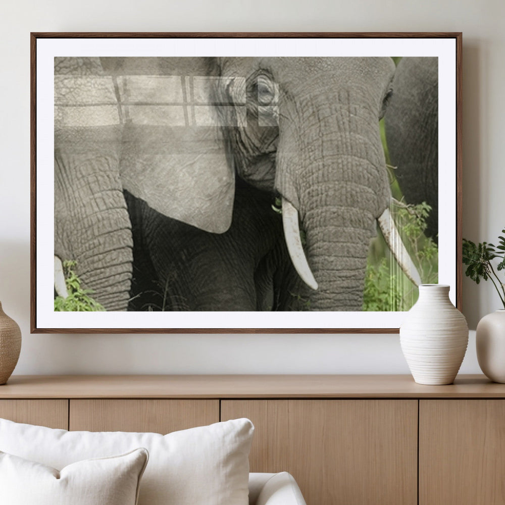 Wild Elephant Wall Art Canvas Print