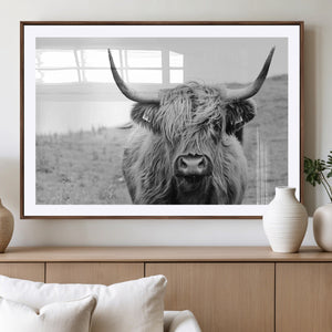 Newfoundland Cow Art Wall Art, Black White Cow Art Wall Art