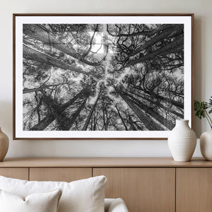 Trees Contemporary Art Canvas Print