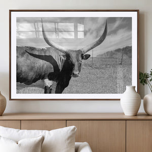 Cattle Wall Art Longhorn Cow Canvas Print