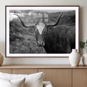 Western Home Wall Art Canvas Print, Framed Texas Longhorn