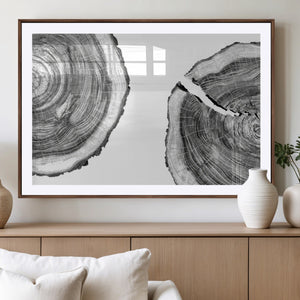 Abstract Large Tree Rings – Minimalist Black and White Wood