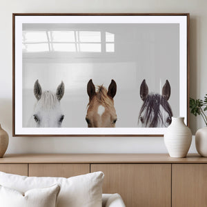 Horse Prints Set, Set of 3 Horse Wall Art, Horses Portraits,