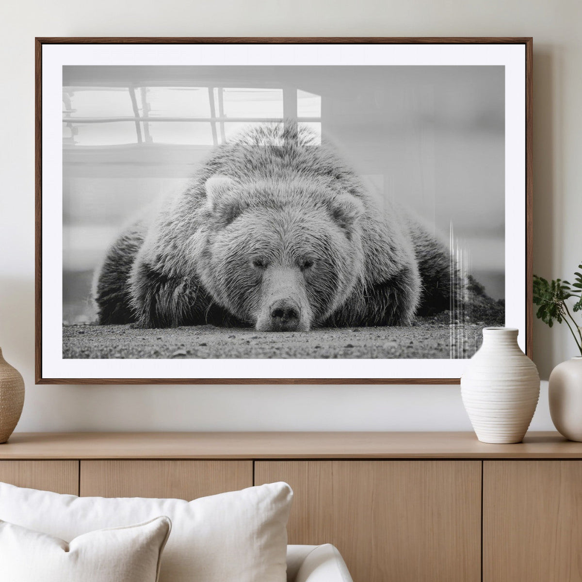 Resting Grizzly Bear Wall Art Canvas Print – Majestic Lazy