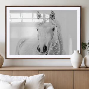Majestic White Horse Wall Art | Ready to Hang and Framed |