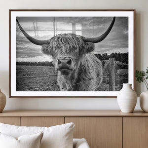 Scottish Highland Cow Wall Art Canvas Print | Ready to Hang