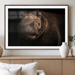 Wild Grizzly 399 Bear Canvas Wall Art Print, Bear Animal