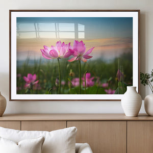 Pink Flower on the Mountain Canvas Print, Framed Pink Flower