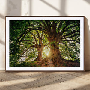 Majestic Ancient Tree Wall Art, NatureCanvas Print, Woodland