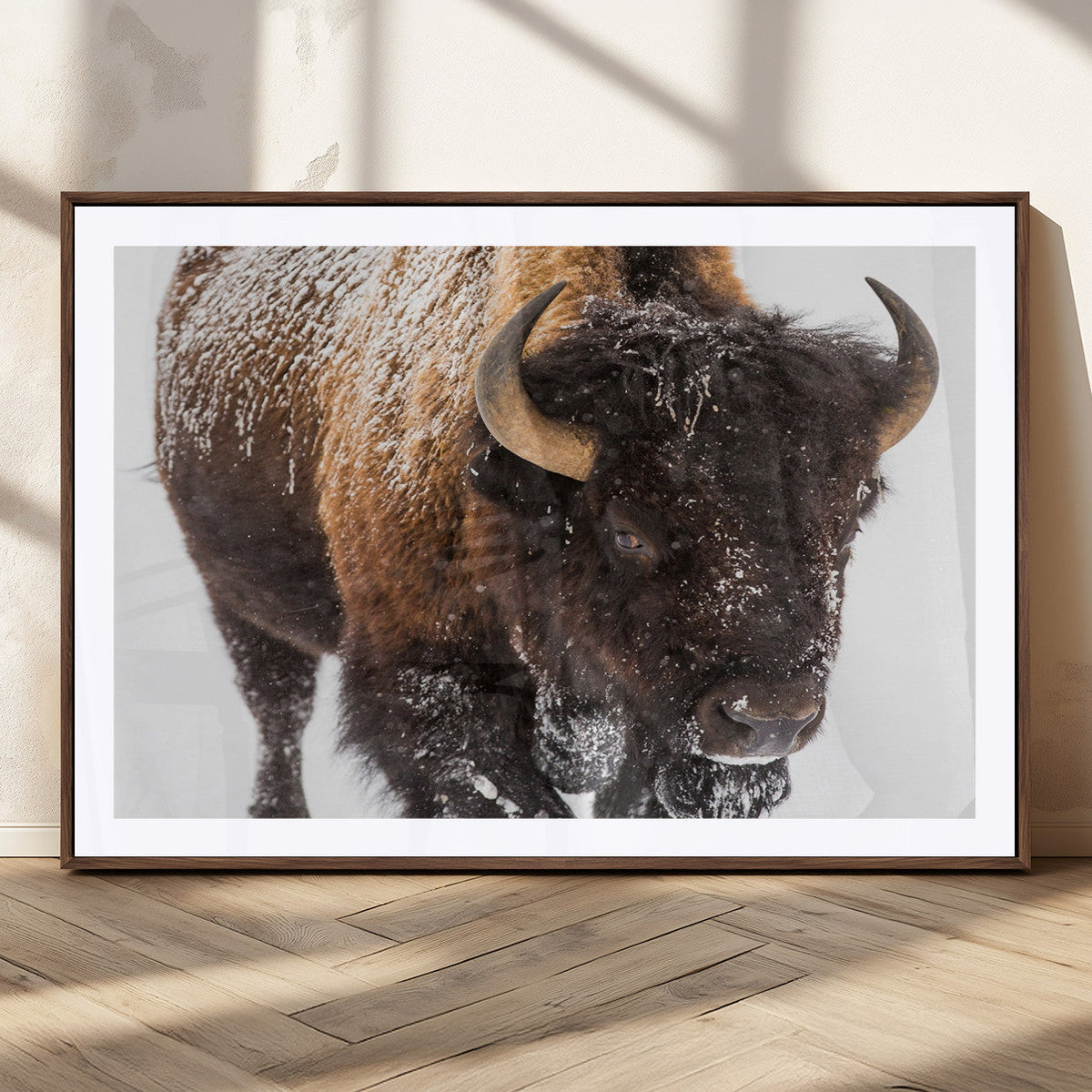 Bison Wall Art Canvas Print For Farmhouse, Wild Animal Wall