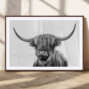 Grayscale Scottish Highland Cow Cattle Art Print Farmhouse