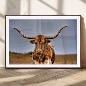 Texas Longhorn Wall Art Print, Framed Longhorn Cow Wall Art