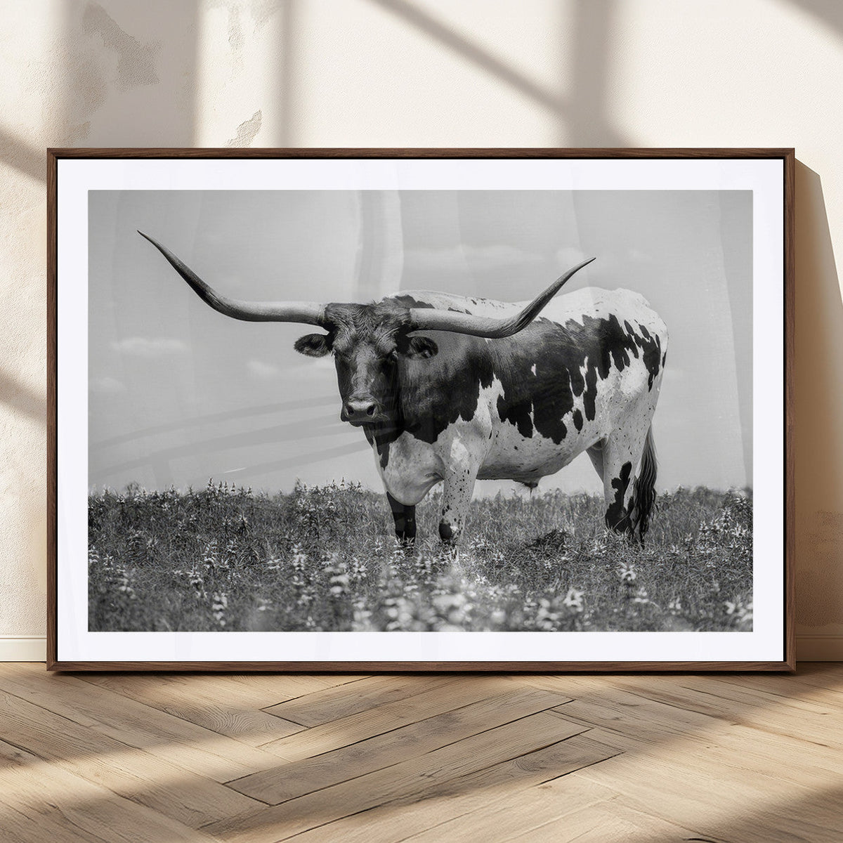 Texas Black White Highland Longhorn Cow Wall Art Canvas