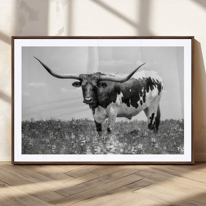 Texas Black White Highland Longhorn Cow Wall Art Canvas