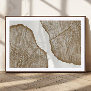 Rustic Brown Tree Ring Wall Art Canvas Print – Framed and