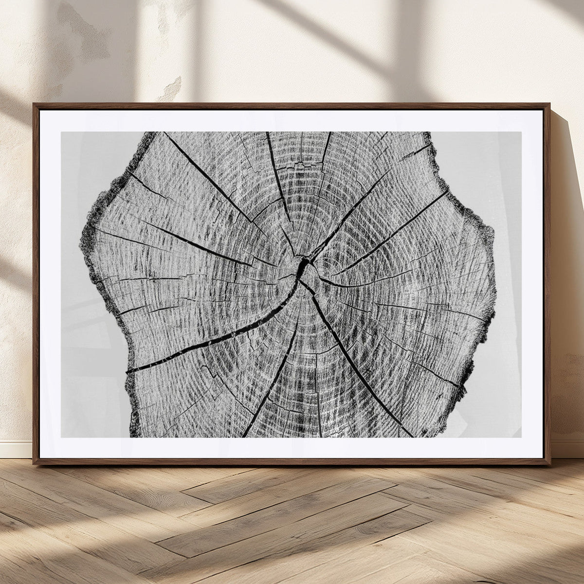 Rustic Tree Ring Wall Art Canvas Print – Framed and Ready to