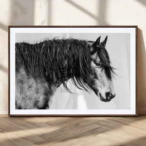 Majestic Horse Wall Art – Framed Black White Portrait Canvas
