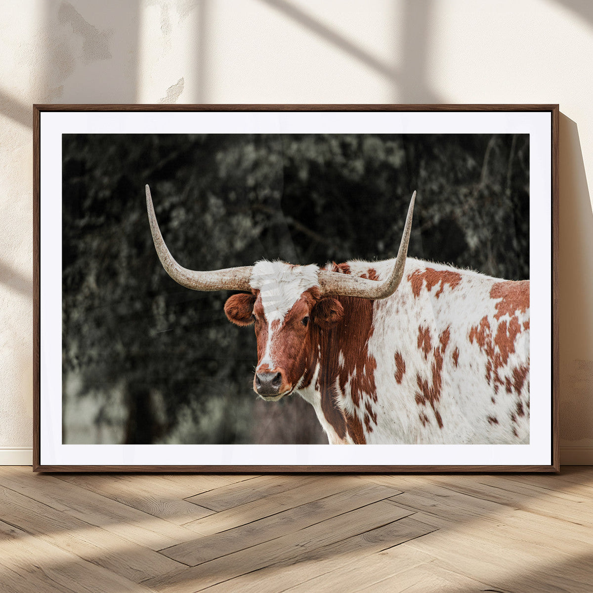 Texas Longhorn Wall Art Canvas Print – Framed Spotted Bull