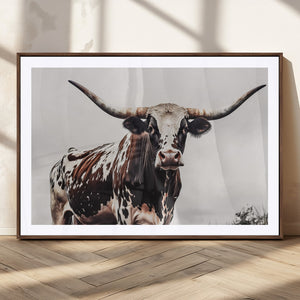 Texas Longhorn Wall Art Canvas Print – Framed Spotted Bull