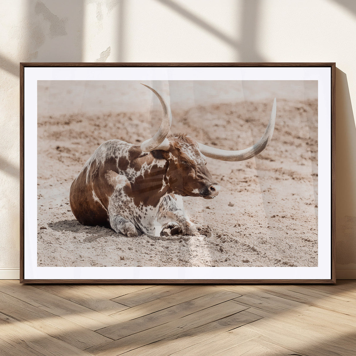 Texas Longhorn Wall Art Canvas Print – Framed Resting Bull