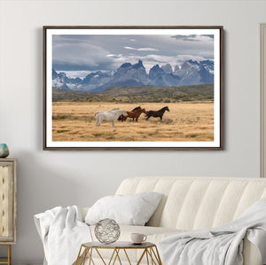 Grand Teton Park Wild Horses Wall Art Canvas Print – Framed