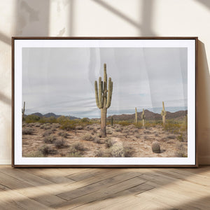 Saguaro Cactus Wall Art – Framed Desert Canvas Artwork,
