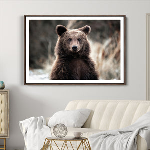 Brown Bear Wall Art Canvas Print – Framed Majestic Woodland