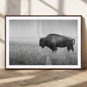 Bison in Prairie Wall Art Canvas Print – Framed Rustic