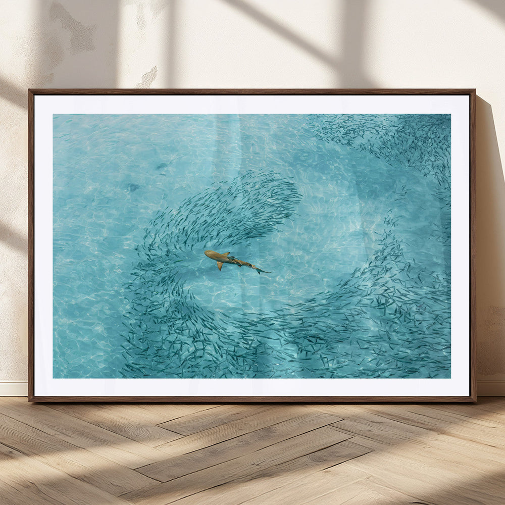 Fish Swarm Wall Art Canvas Print – Framed Marine Life Art