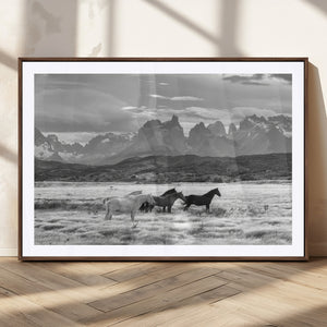 Wild Horses Wall Art Canvas Print – Framed Black and White